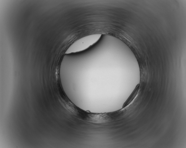 X0000088430191200705220902