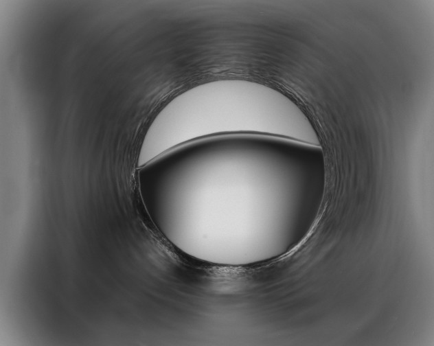 X0000088430192200705220902