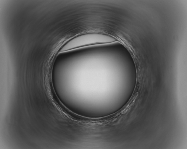 X0000088430193200705220901