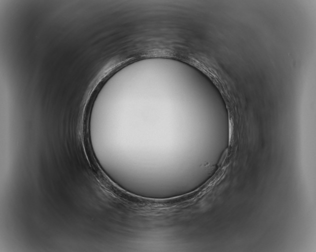 X0000088430195200705220901