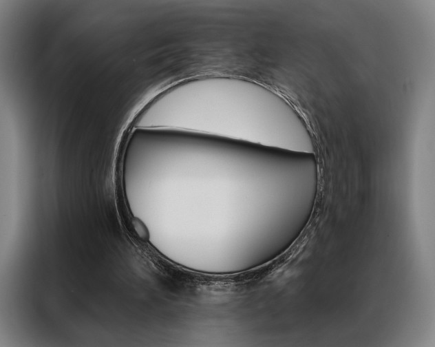 X0000088430196200705220901