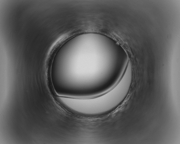 X0000088430197200705220901
