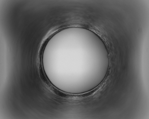 X0000088430198200705220901