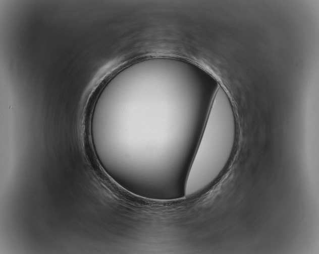 X0000088430199200705220901