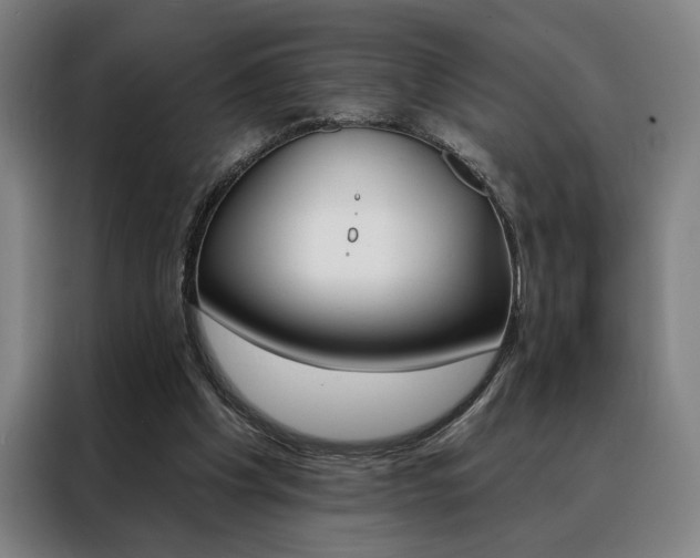 X0000088430201200705220901