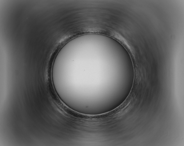 X0000088430203200705220901