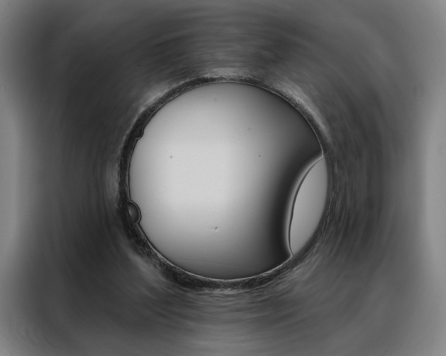 X0000088430204200705220901