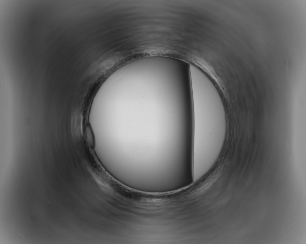 X0000088430205200705220901