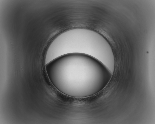 X0000088430207200705220901