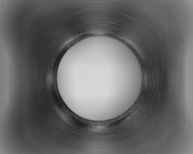 X0000088430208200705220901