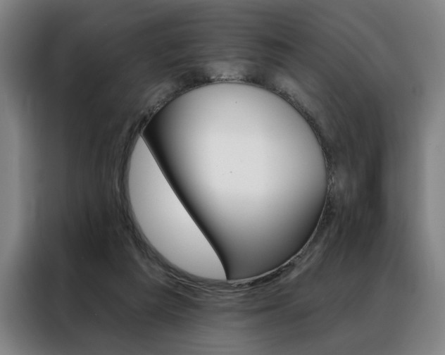 X0000088430209200705220901