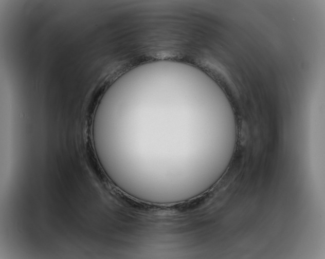 X0000088430210200705220901