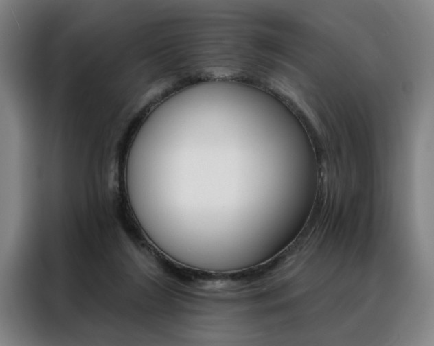 X0000088430212200705220901