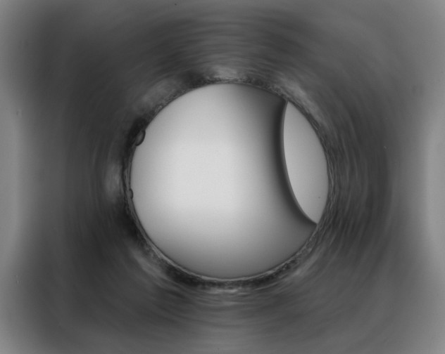 X0000088430213200705220901