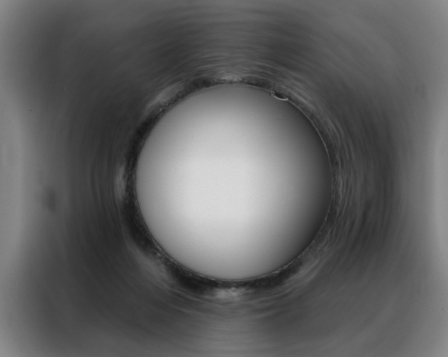 X0000088430216200705220901