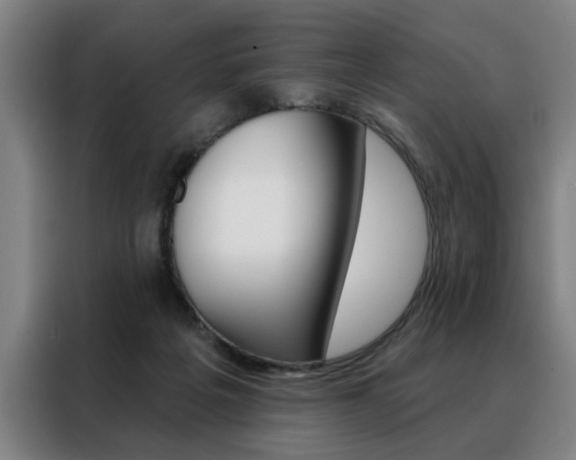 X0000088430217200705220901