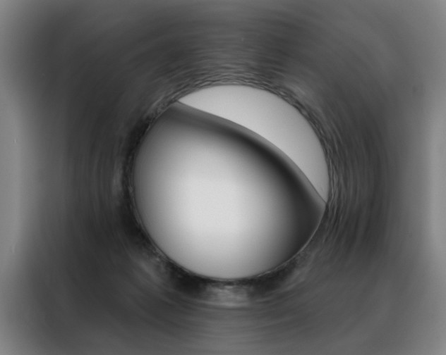 X0000088430221200705220901