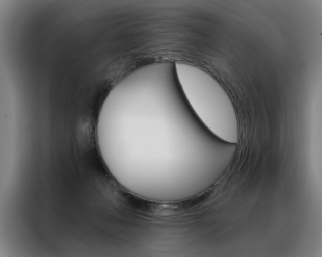 X0000088430222200705220901