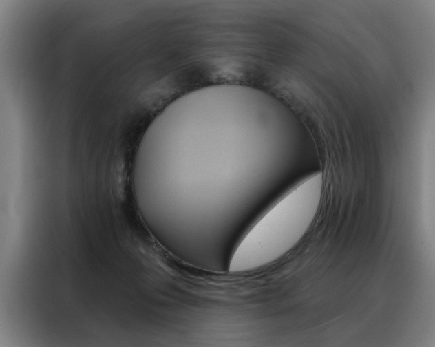 X0000088430223200705220901