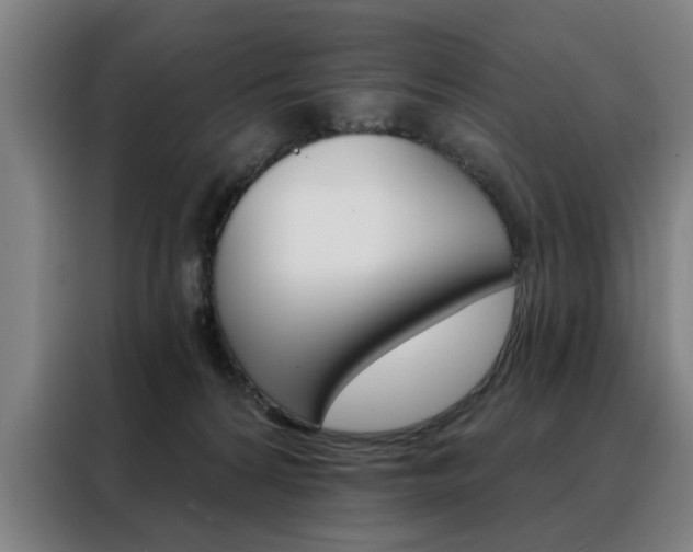 X0000088430224200705220901