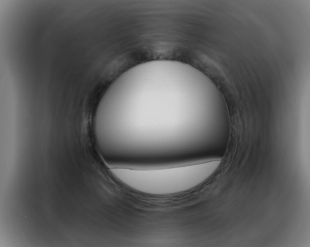 X0000088430225200705220901