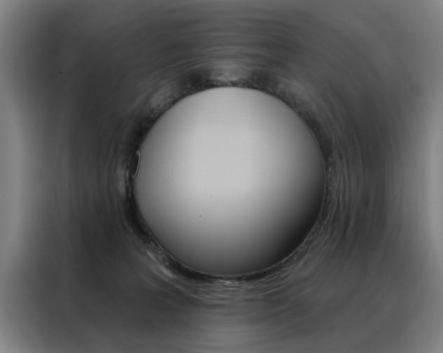 X0000088430227200705220901