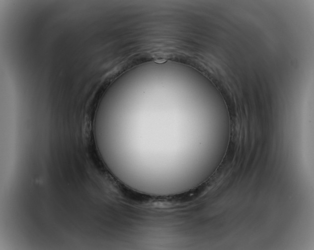 X0000088430228200705220901