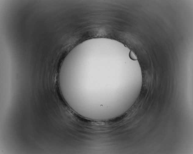 X0000088430230200705220901