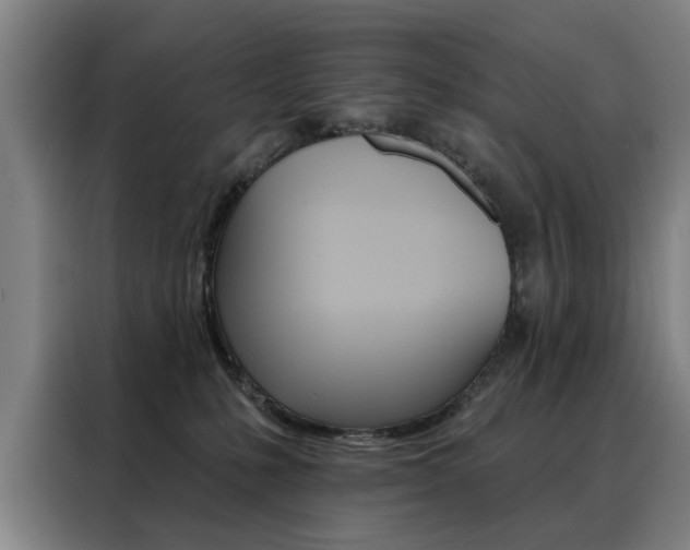 X0000088430231200705220900