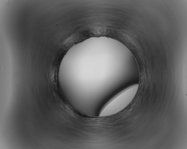 X0000088430233200705220900