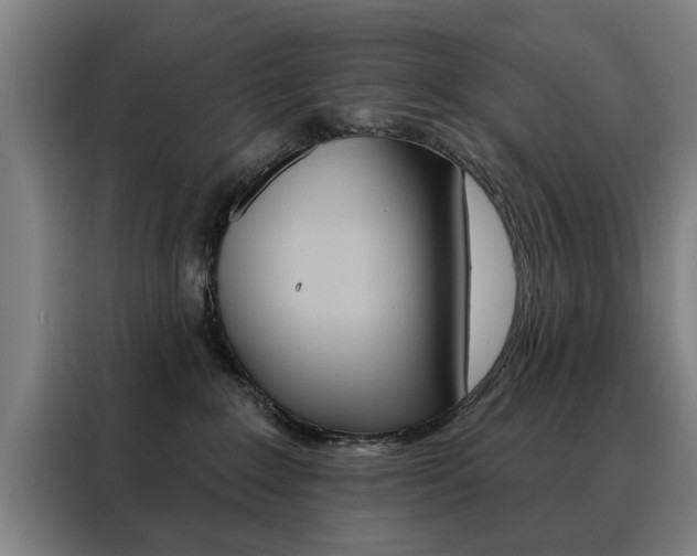 X0000088430235200705220900