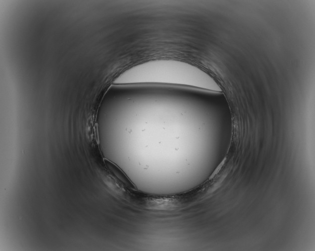 X0000088430237200705220900