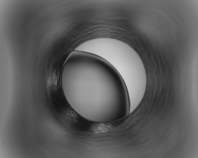 X0000088430239200705220900