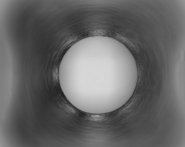 X0000088430240200705220900