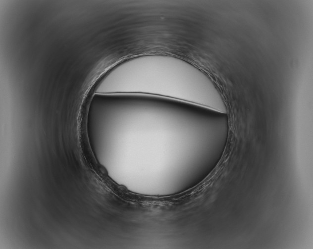 X0000088430242200705220900