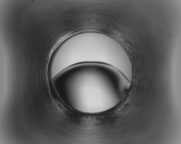 X0000088430244200705220900