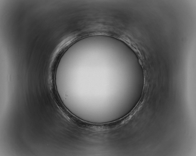 X0000088430245200705220900