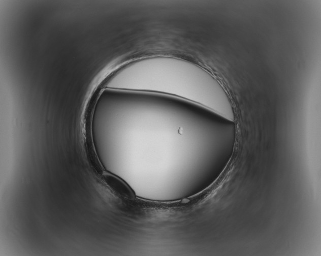 X0000088430246200705220900