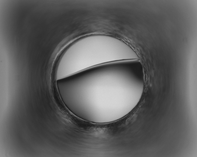 X0000088430247200705220900