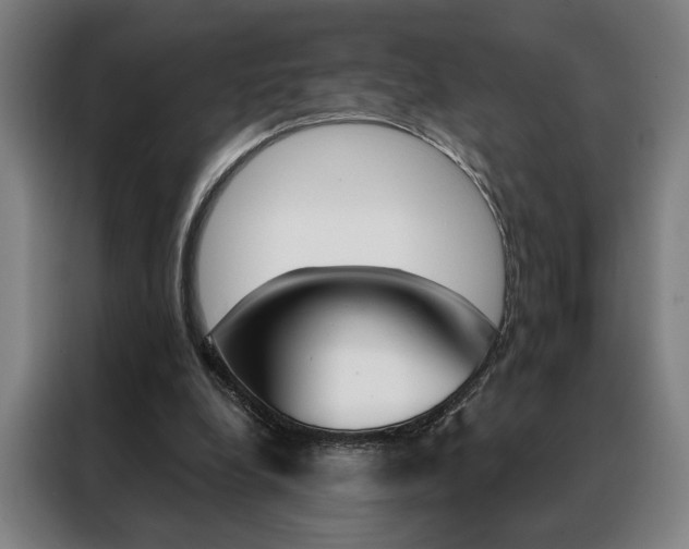 X0000088430248200705220900