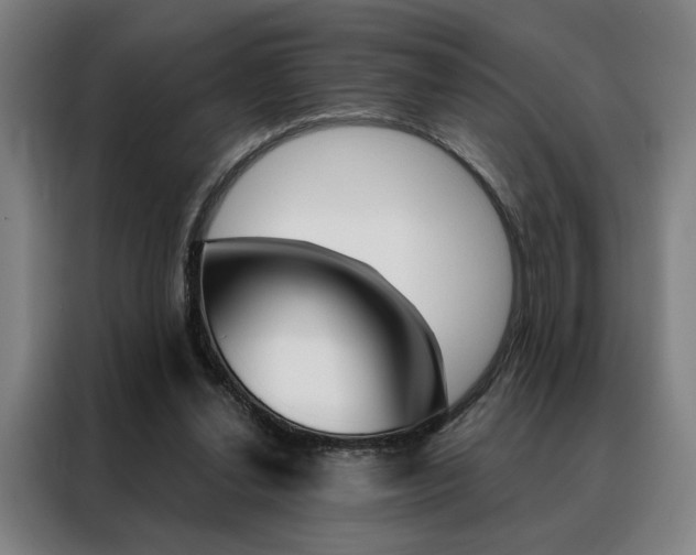 X0000088430252200705220900