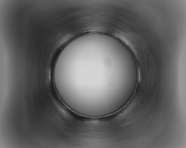 X0000088430253200705220900