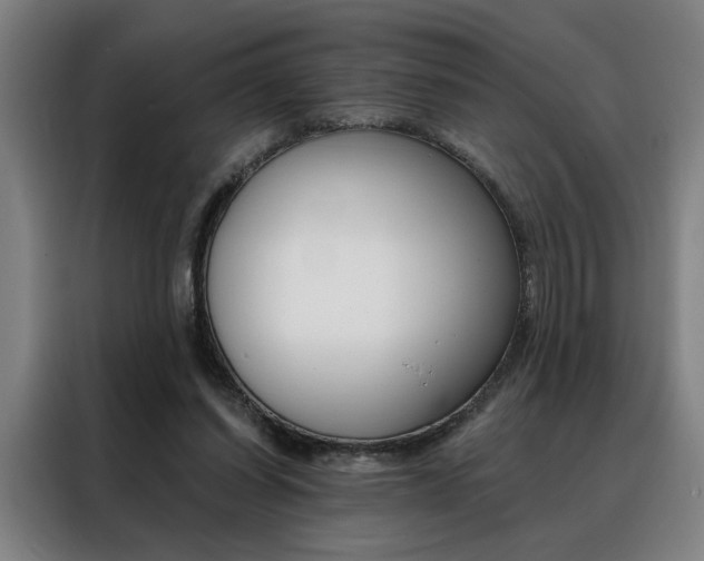 X0000088430254200705220900