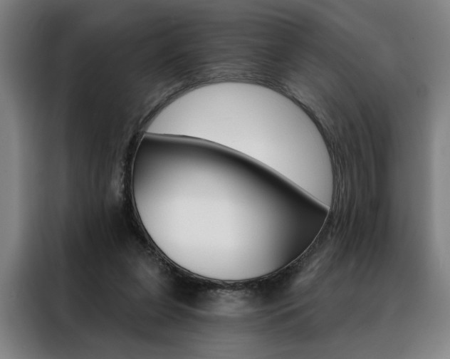 X0000088430255200705220900