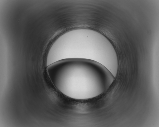 X0000088430256200705220900