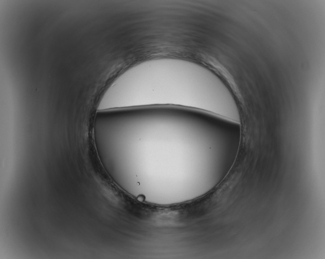 X0000088430257200705220900