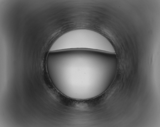 X0000088430258200705220900
