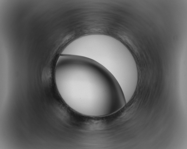 X0000088430260200705220900