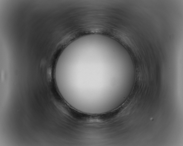 X0000088430262200705220900