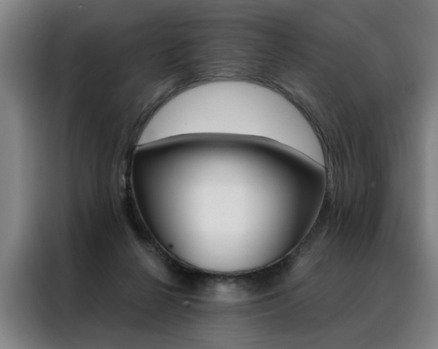 X0000088430264200705220900